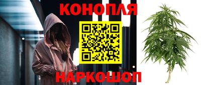 кокаин колумбия Гай
