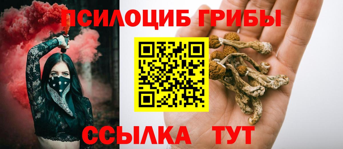 Наро-Фоминск  Псилоцибиновые грибы Psilocybe  Вход с VPN 